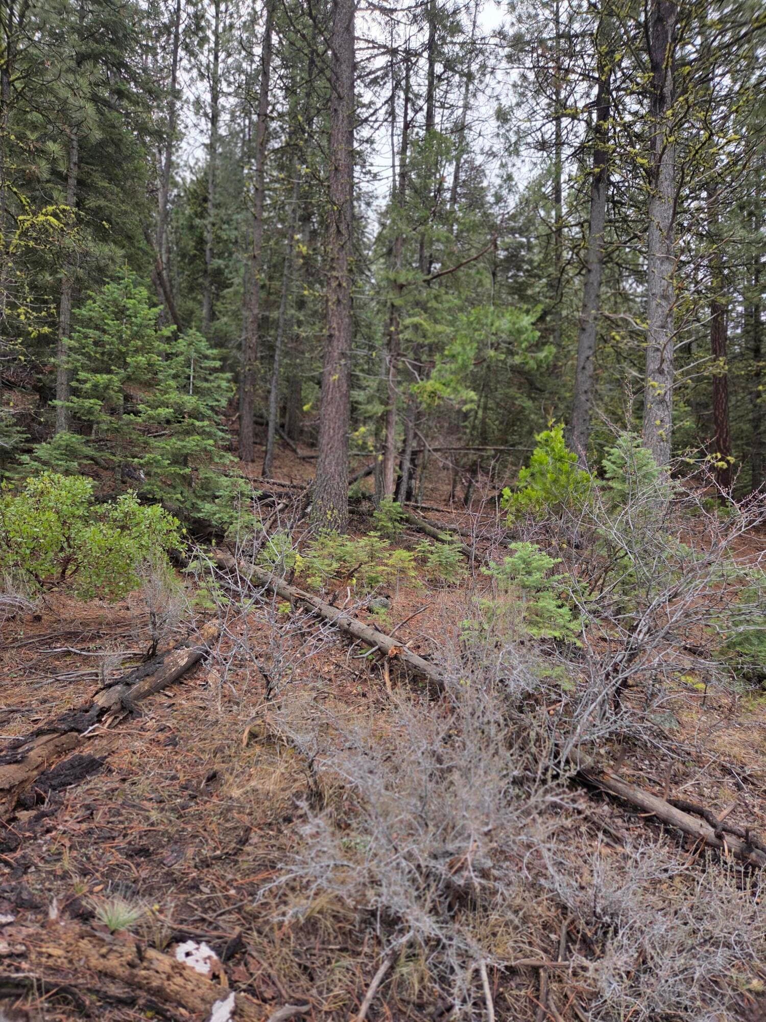 Lot. Photo 4 of 6, 0 E Yak / Hwy 140 Lane Unit Lot 1, Bonanza, OR 97623