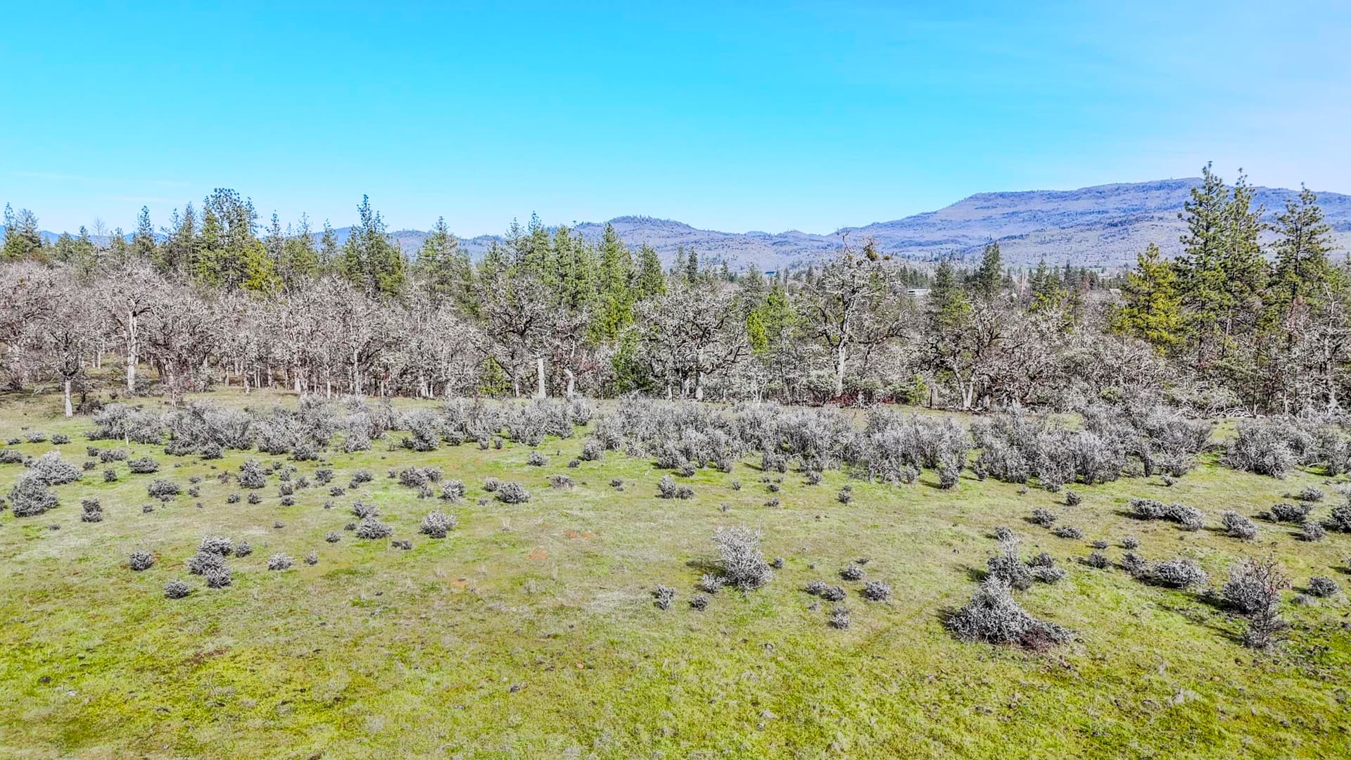 main. Photo 1 of 38, 506 Greenleaf Drive, Eagle Point, OR 97524