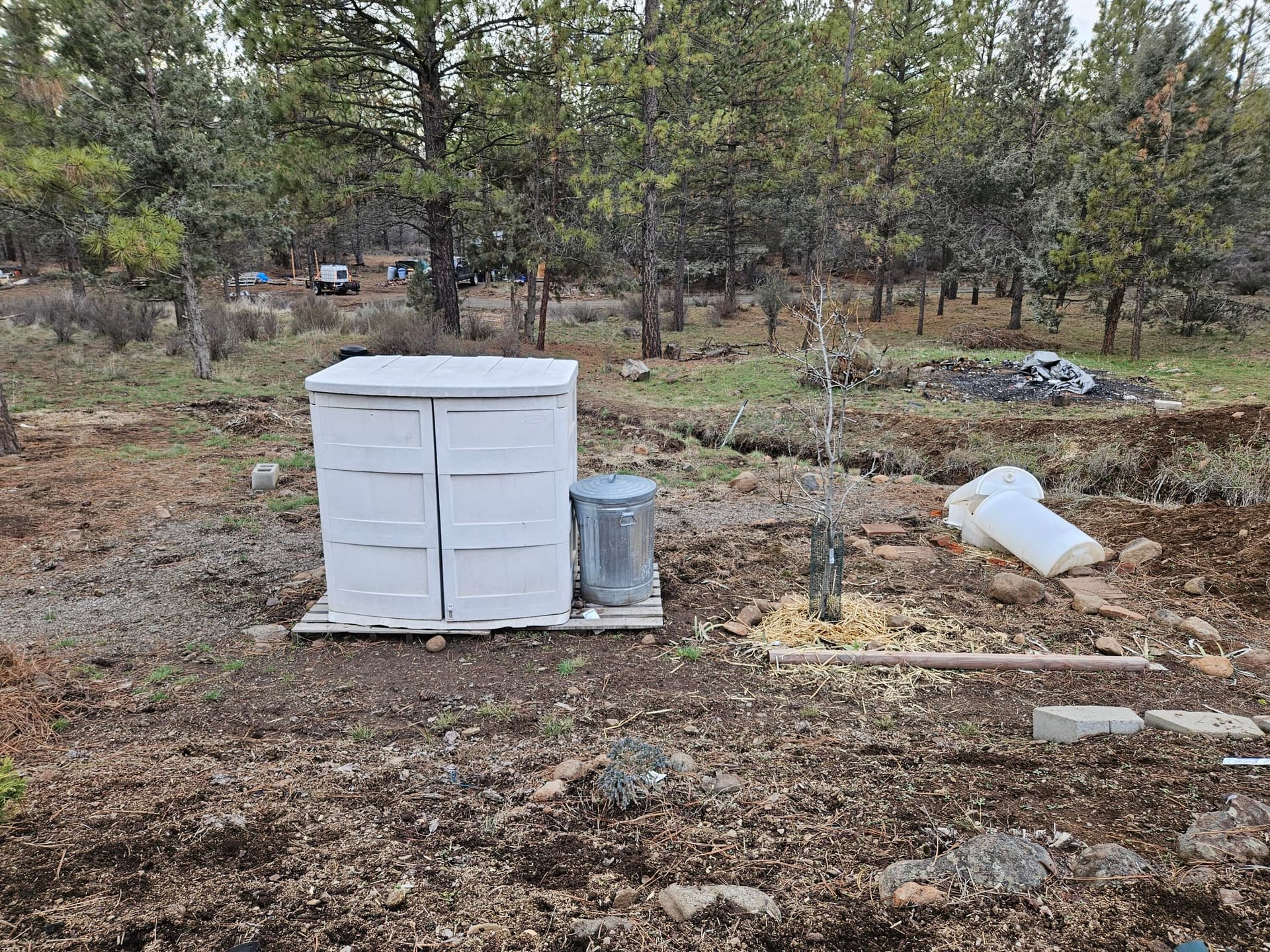 20260302_160457. Photo 4 of 16, 34008 Raccoon Lane, Bonanza, OR 97623
