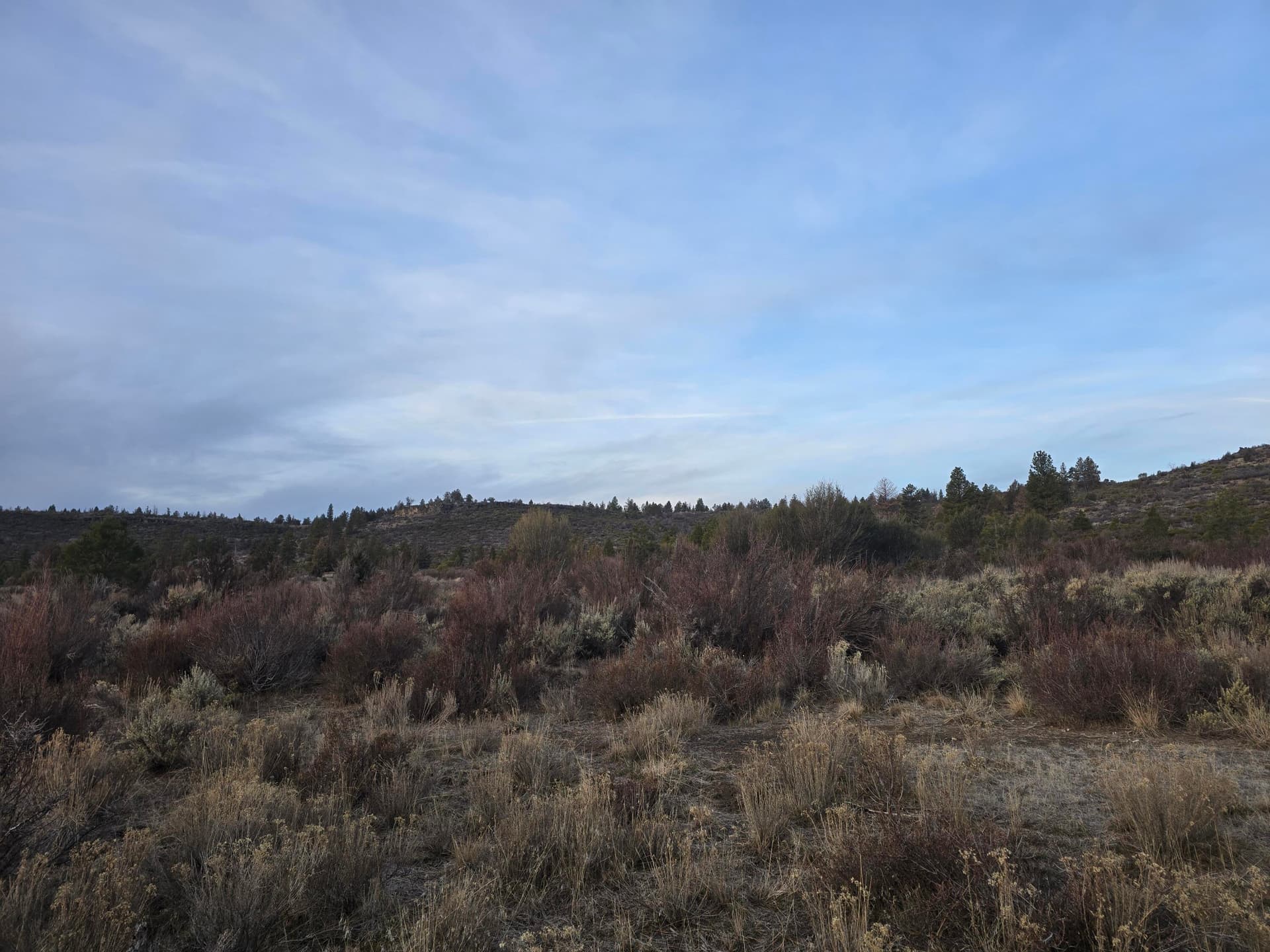 20260131_073912. Photo 2 of 9, 0 Tableland Road Unit 2400-2500, Sprague River, OR 97639
