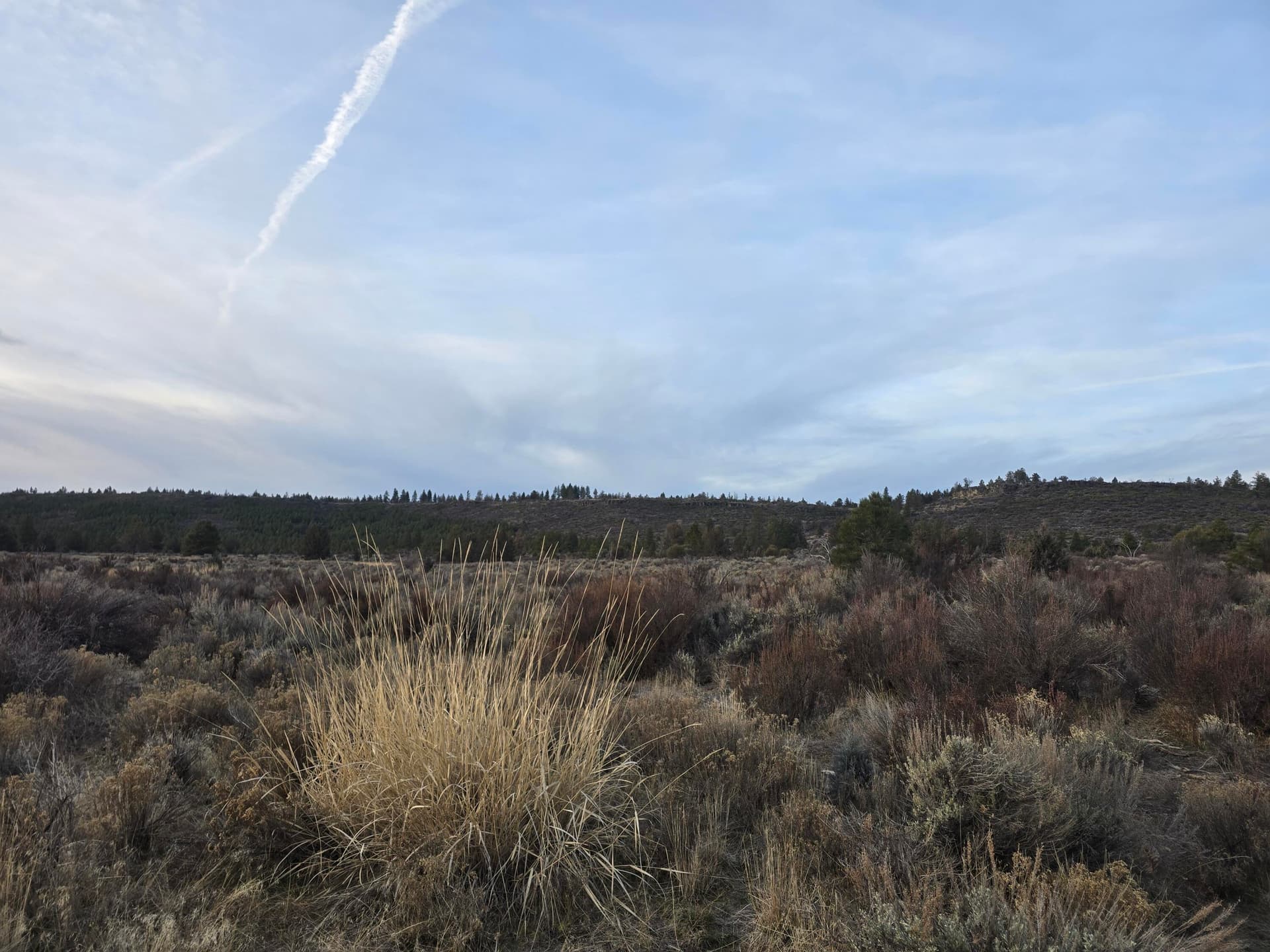 20260131_073925. Photo 4 of 9, 0 Tableland Road Unit 2400-2500, Sprague River, OR 97639
