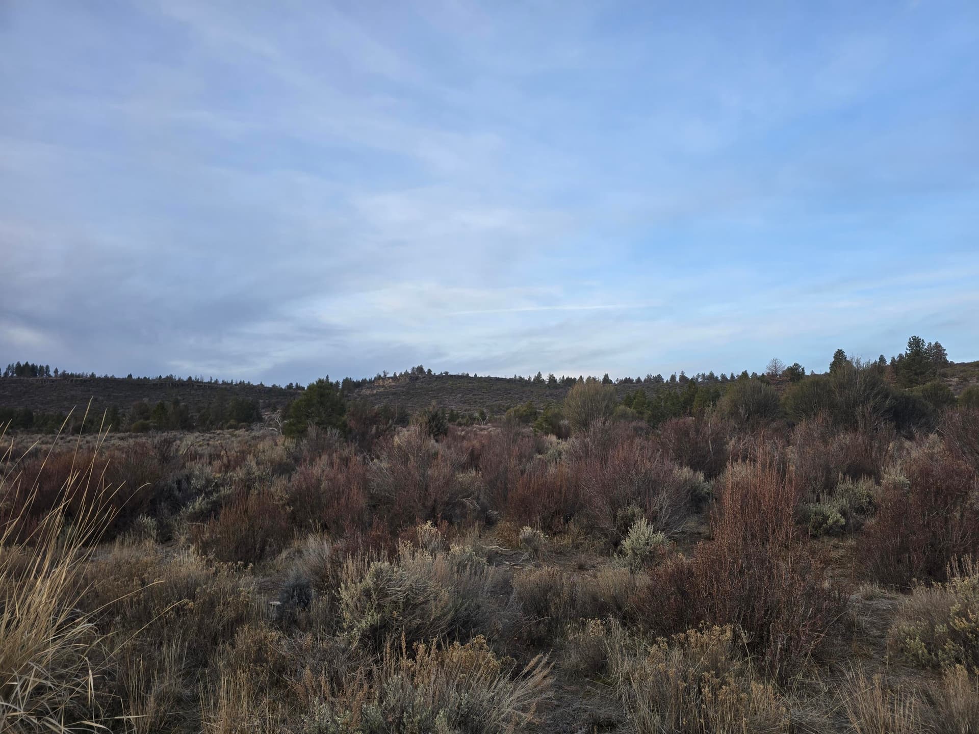 20260131_073927. Photo 5 of 9, 0 Tableland Road Unit 2400-2500, Sprague River, OR 97639