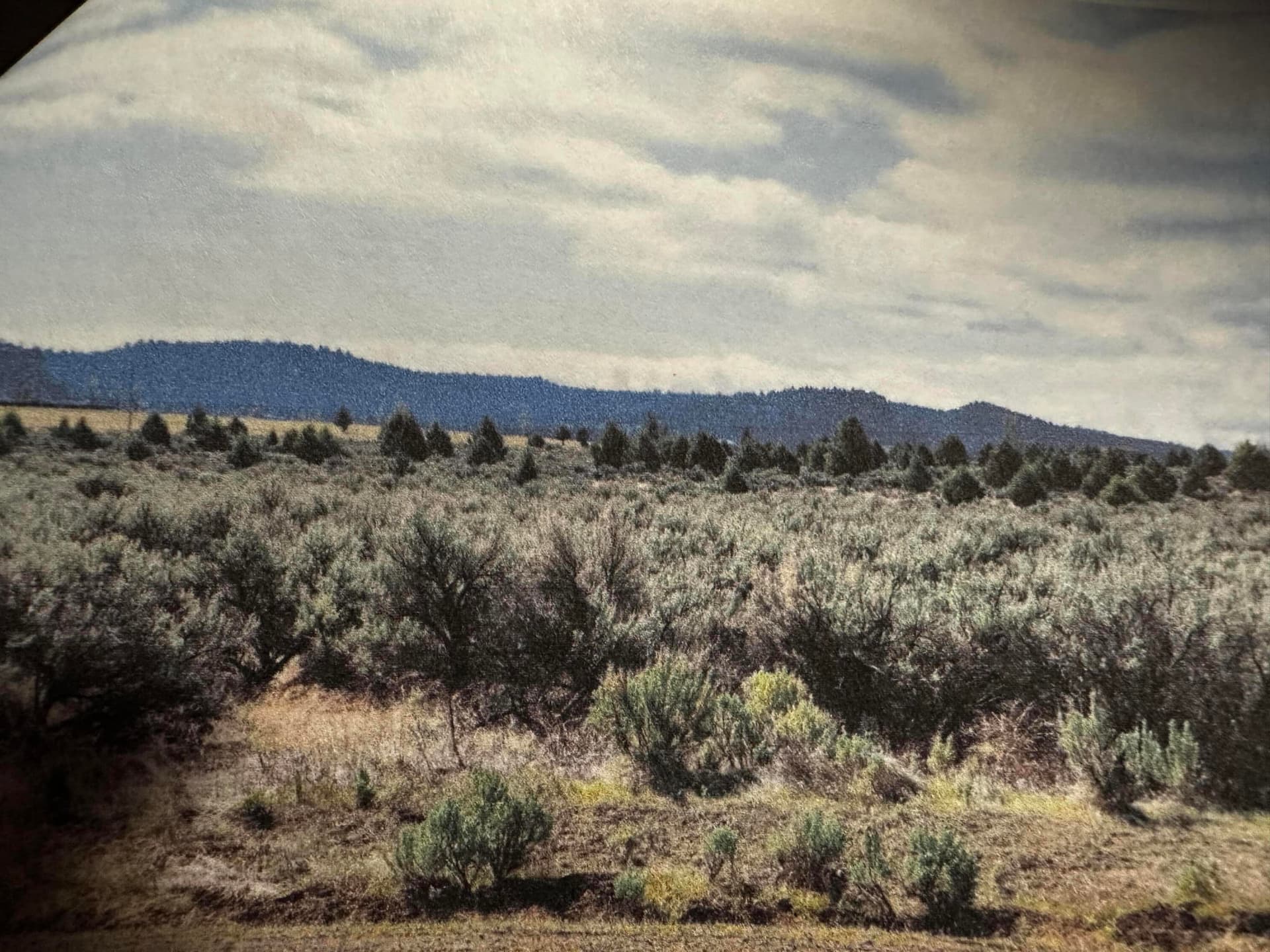 2.5 ac kooking south2. Photo 5 of 6, Off Fossil Lake Road Unit TL 1000, Christmas Valley, OR 97641