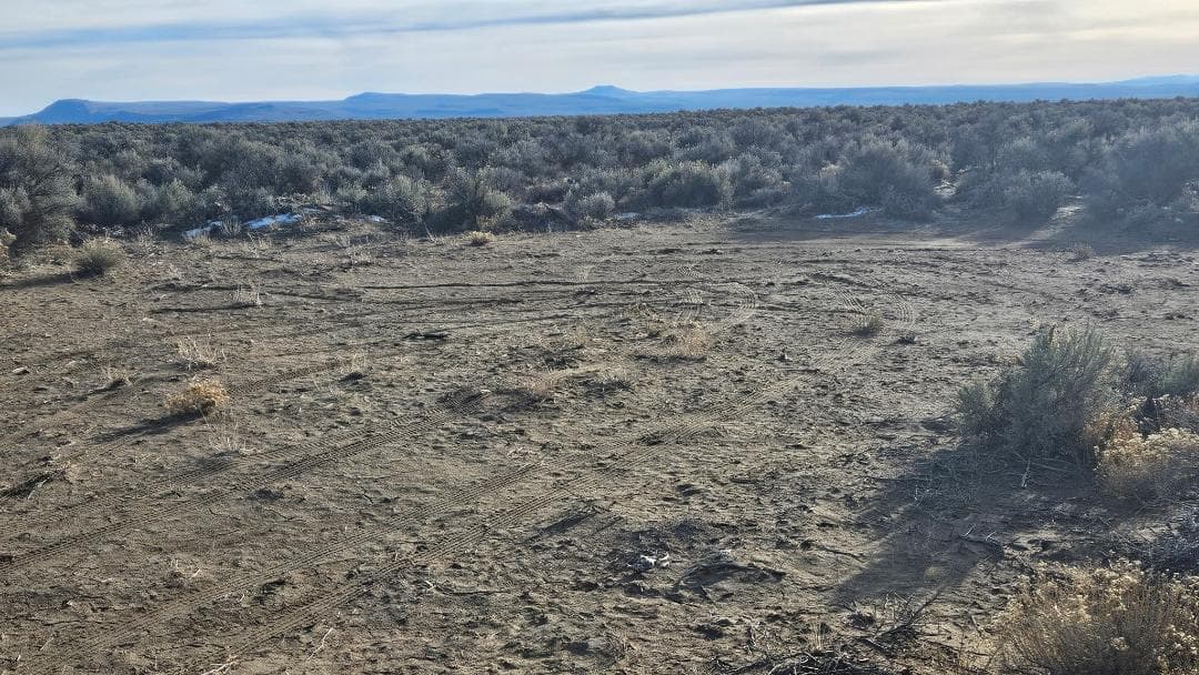 2.5 ac clearing 2. Photo 4 of 6, Off Fossil Lake Road Unit TL 1000, Christmas Valley, OR 97641