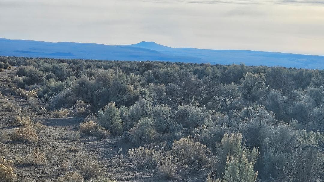 10 ac 1. Photo 4 of 5, Off Fossil Lake Road Unit TL 1200, Christmas Valley, OR 97641
