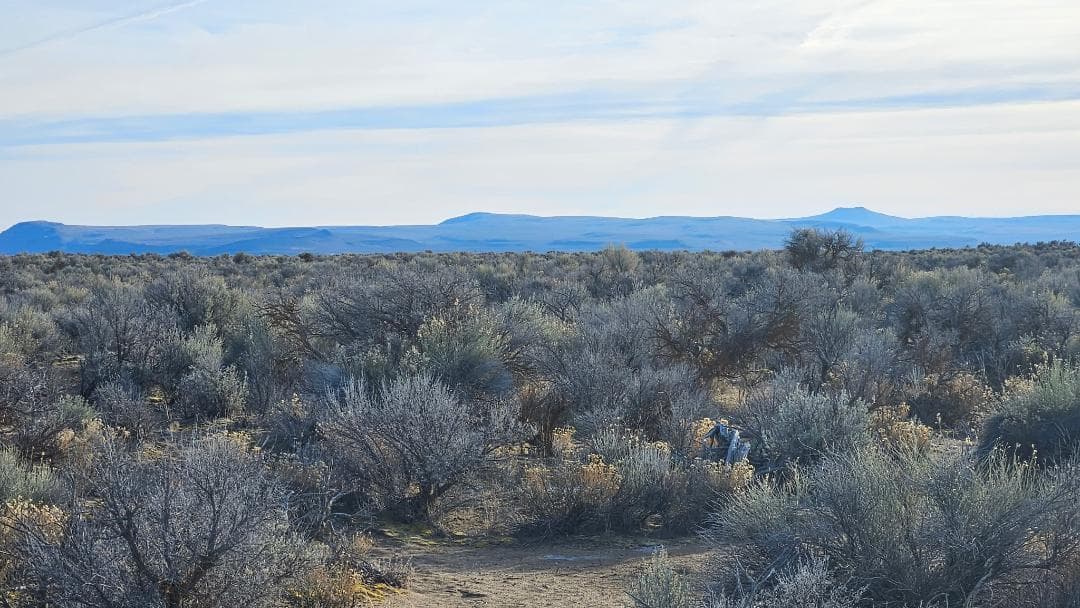 10 ac 2. Photo 5 of 5, Off Fossil Lake Road Unit TL 1200, Christmas Valley, OR 97641