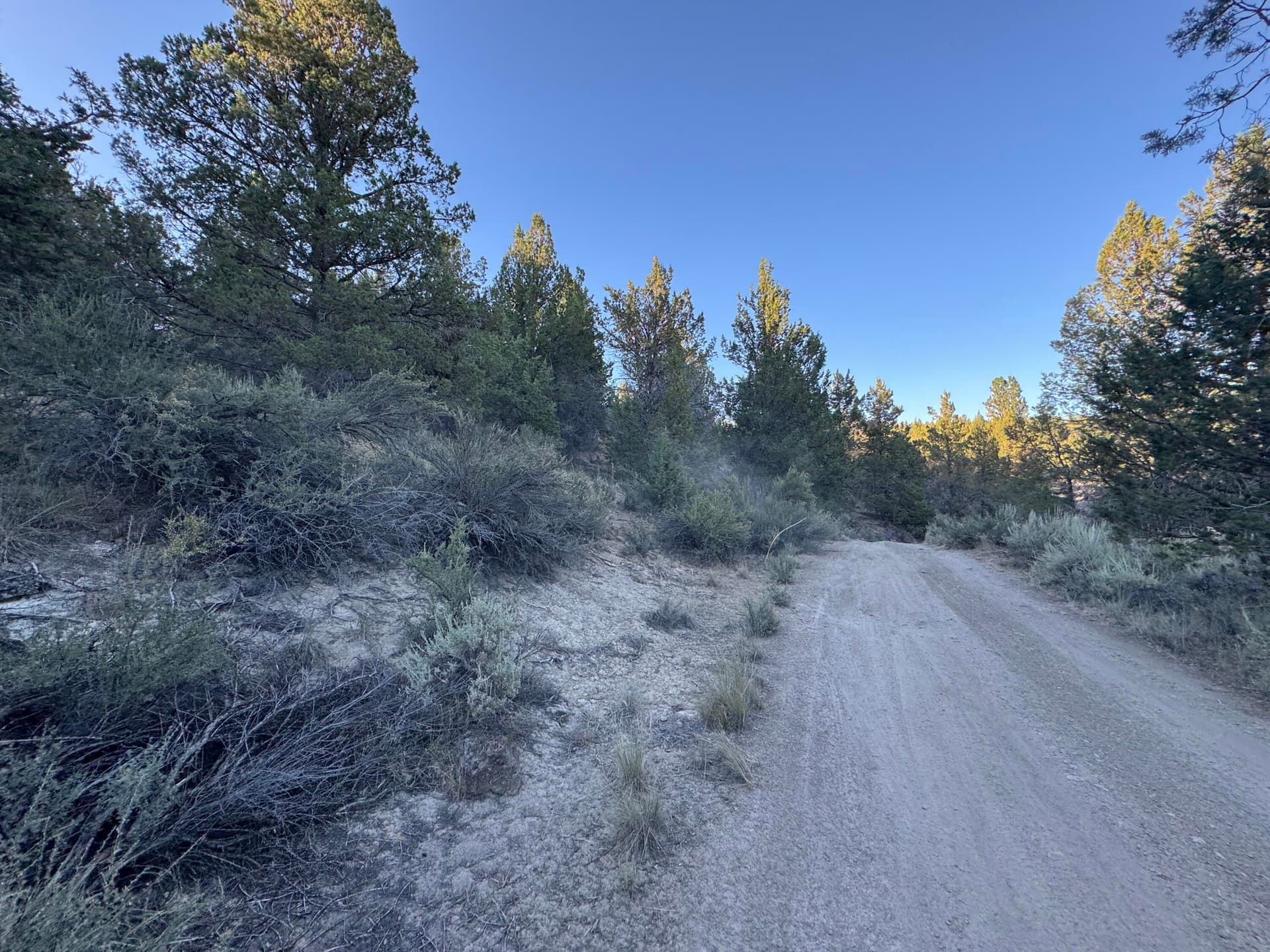 1. Photo 1 of 8, 0 Shasta Unit 7, Sprague River, OR 97639