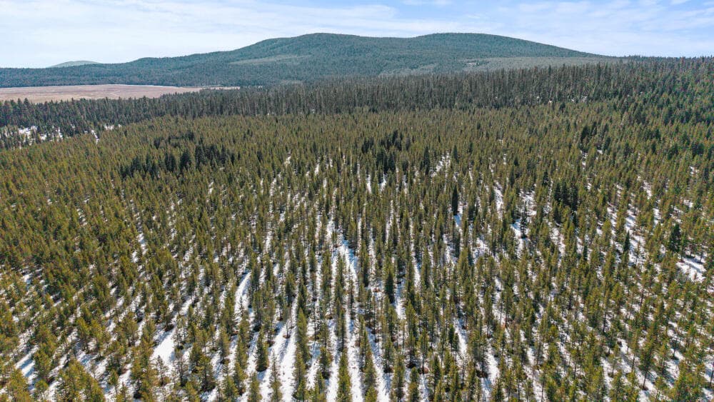 4 CloverCreekRd600Acres-31. Photo 4 of 15, 0 Clover Creek Rd Road Unit 71022, Klamath Falls, OR 97601