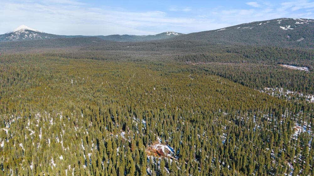 5 CloverCreekRd600Acres-12. Photo 5 of 15, 0 Clover Creek Rd Road Unit 71022, Klamath Falls, OR 97601