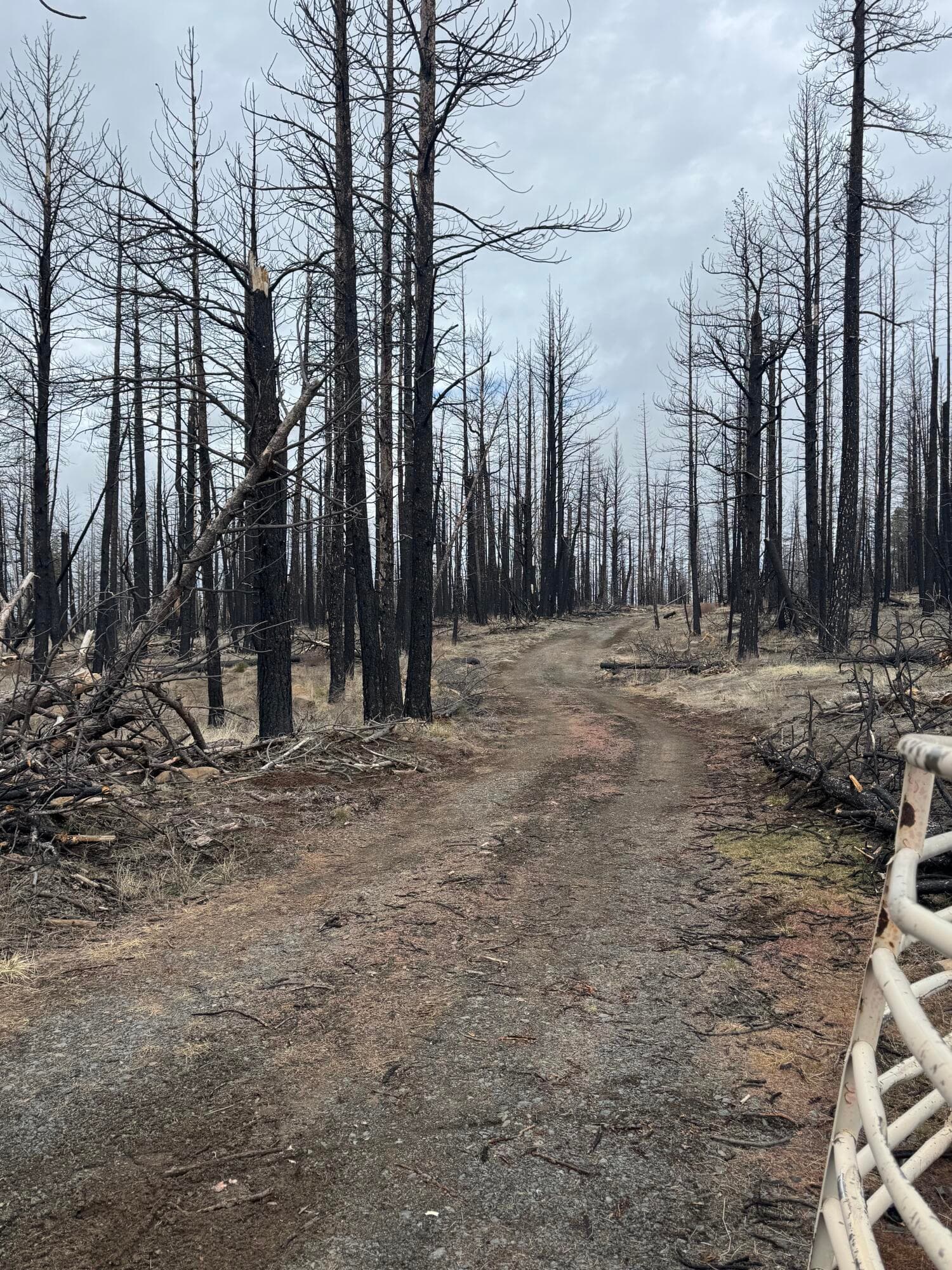 IMG_7629. Photo 1 of 11, 1100 Yellow Pine Road, Bly, OR 97622