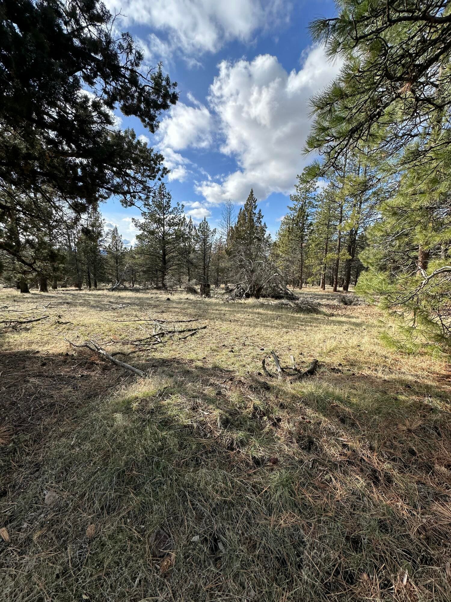 IMG_0582. Photo 3 of 9, 0 Widgeon Drive Unit Lot 3, Bonanza, OR 97623