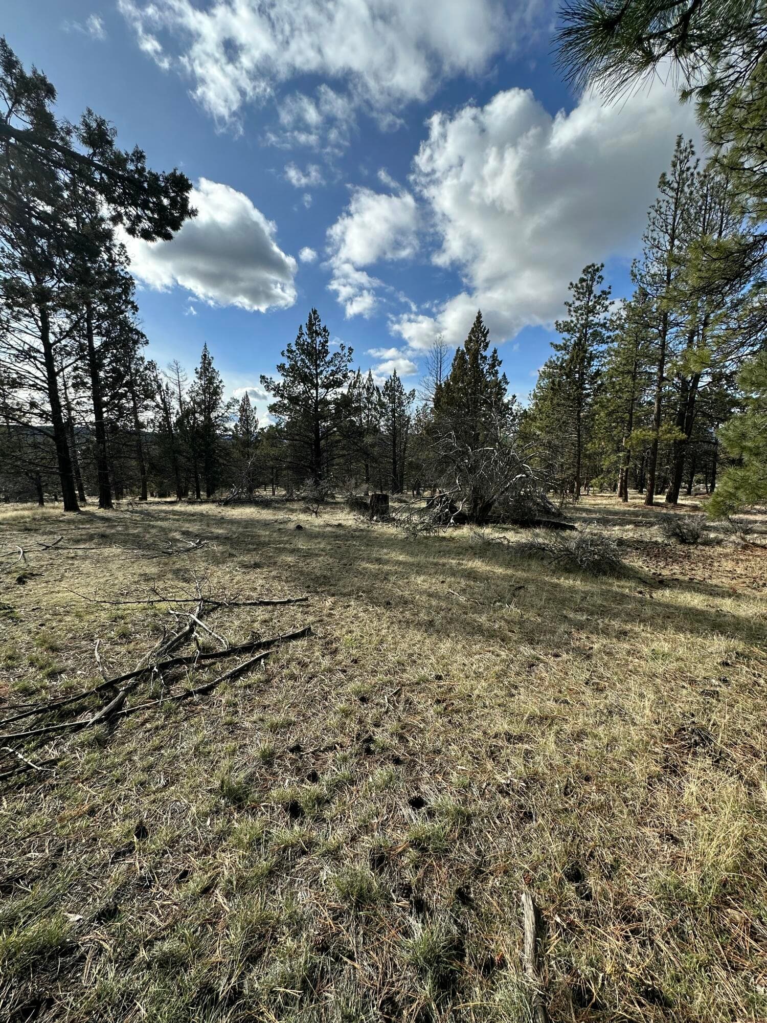 IMG_0584. Photo 5 of 9, 0 Widgeon Drive Unit Lot 3, Bonanza, OR 97623
