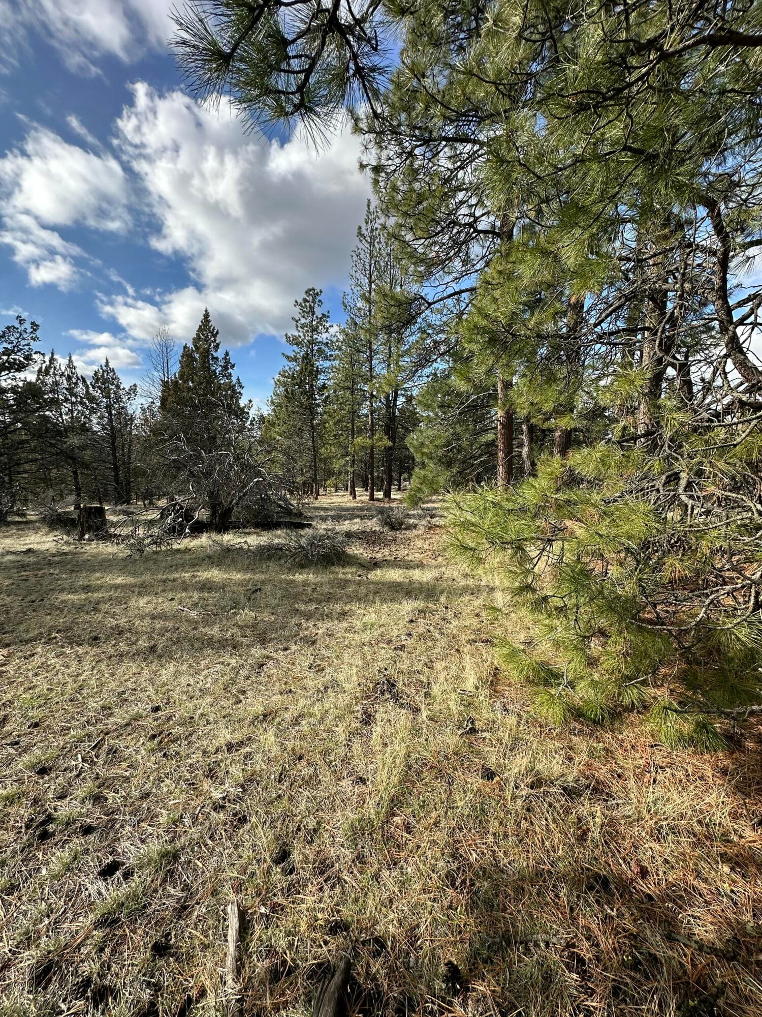 IMG_0586. Photo 1 of 9, 0 Widgeon Drive Unit Lot 3, Bonanza, OR 97623