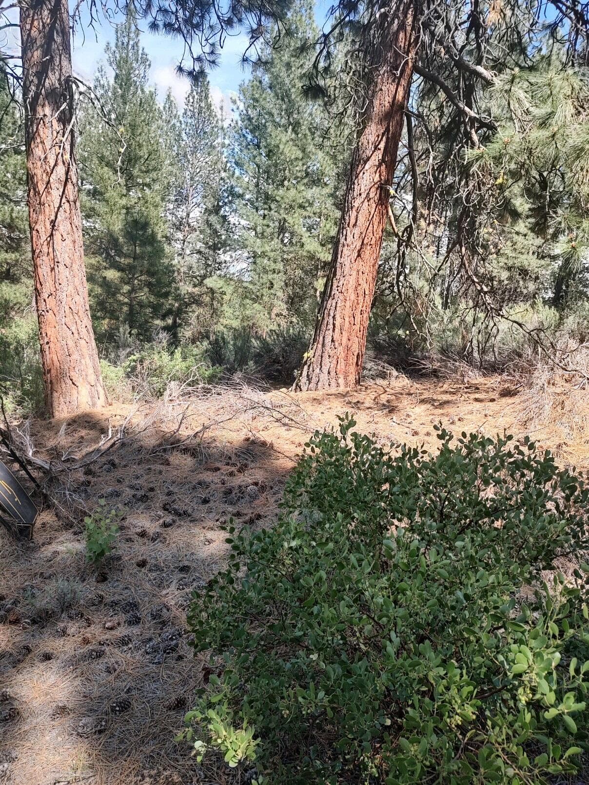 STILLWATER AGAIN. Photo 2 of 3, 0 Stillwater Way Unit Lot 16, Chiloquin, OR 97624