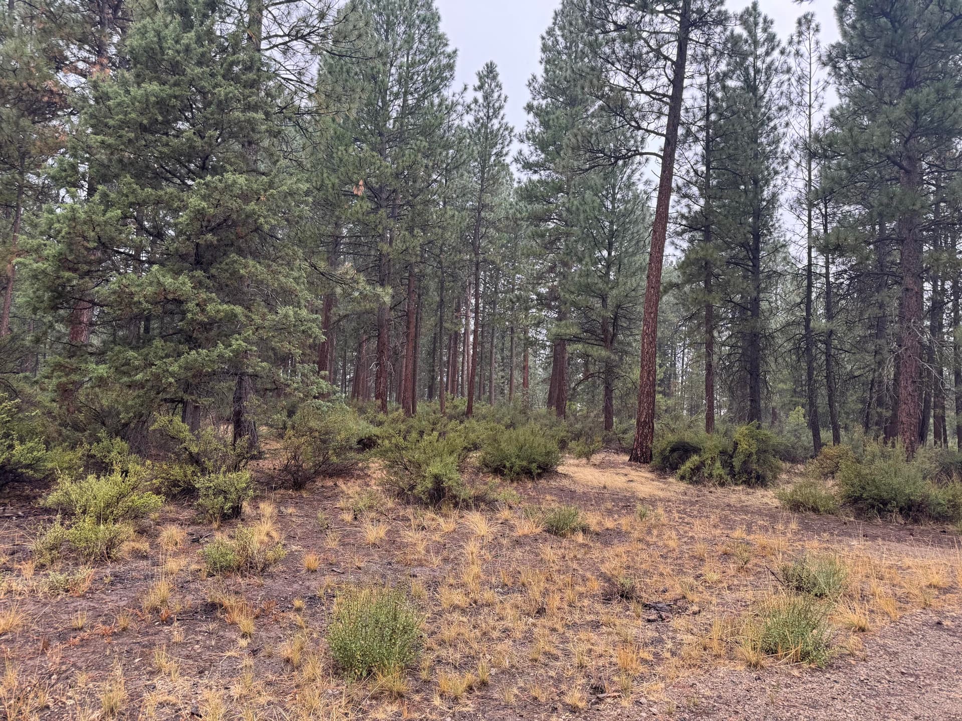 Lot. Photo 1 of 3, 0 Stillwater Way Unit Lot 16, Chiloquin, OR 97624