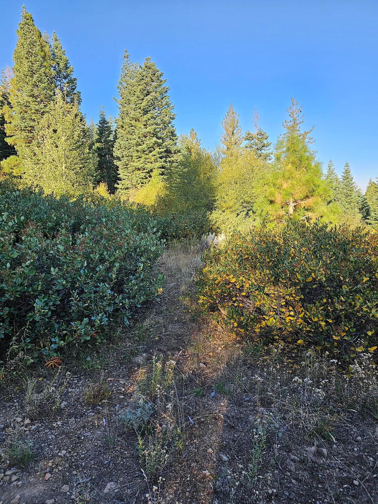 20230920_084939. Photo 1 of 6, 0 Undertimined, Lakeview, OR 97630