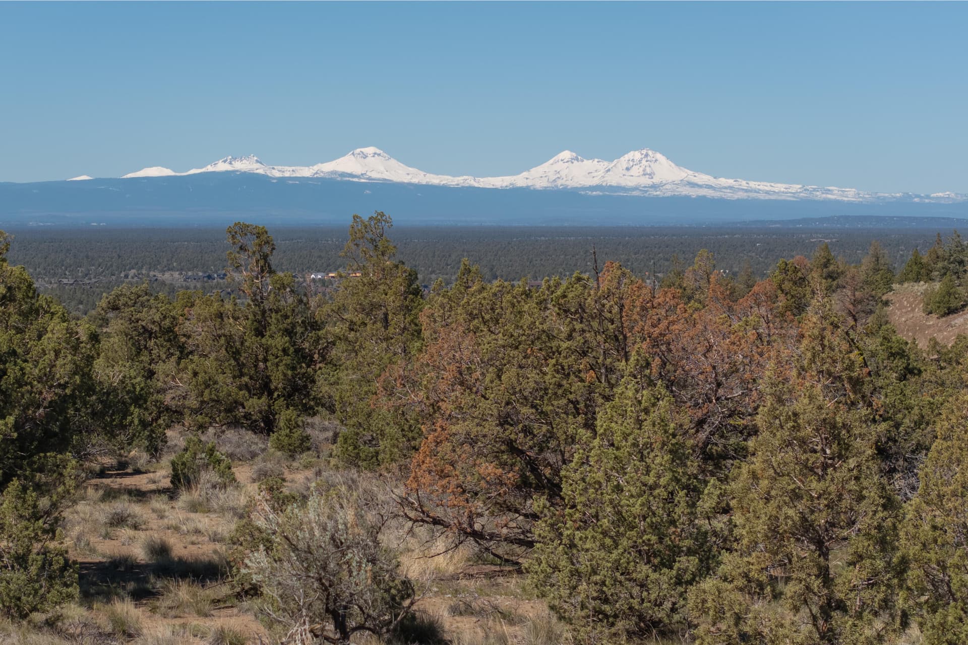 Cascade Mountains. Photo 1 of 13, SW Paragon Court Unit 728-729, Powell Butte, OR 97753