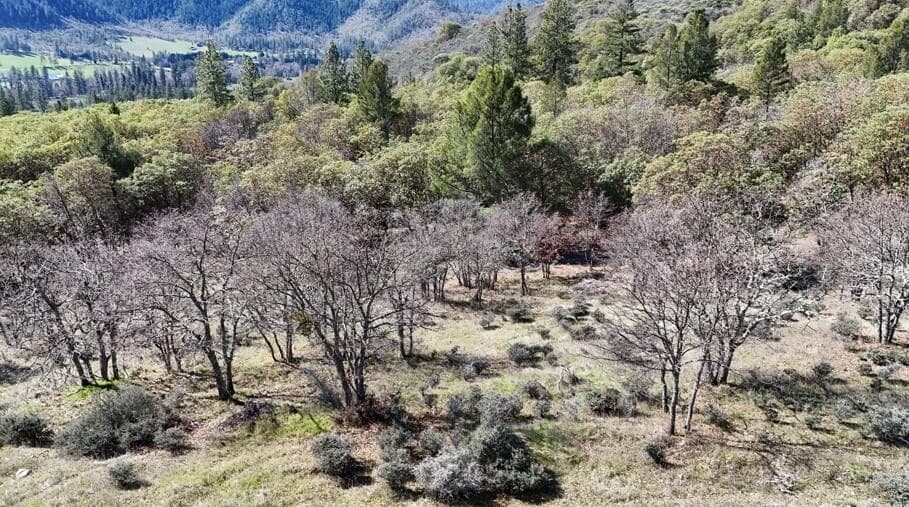 02. Photo 3 of 15, N Applegate Road, Grants Pass, OR 97527