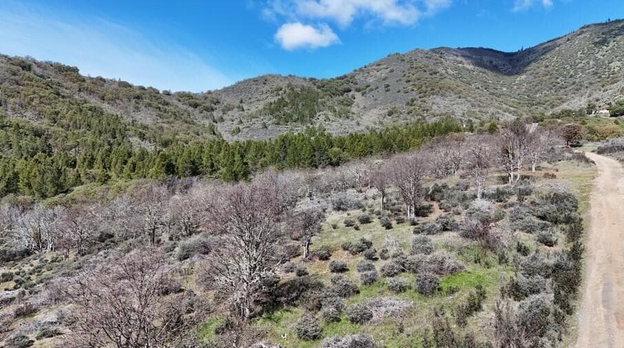 03. Photo 5 of 15, N Applegate Road, Grants Pass, OR 97527