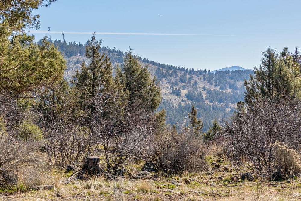 Lot243-BaileyMountainDr-1. Photo 1 of 17, 957 Bailey Mountain Road, Klamath Falls, OR 97601
