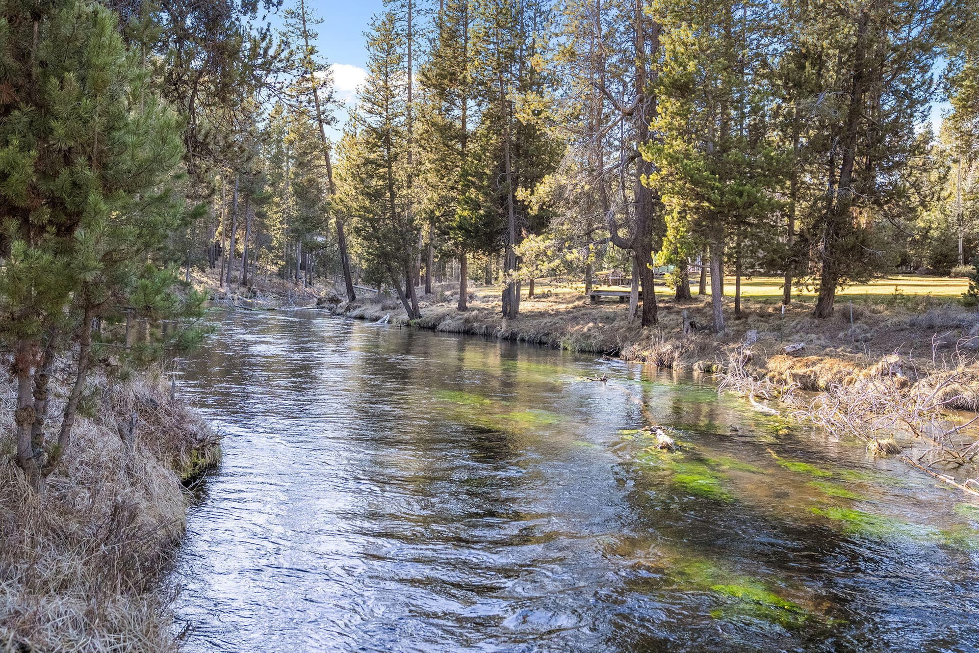 Fall River. Photo 3 of 42, 15124 E River Loop Drive, Bend, OR 97707