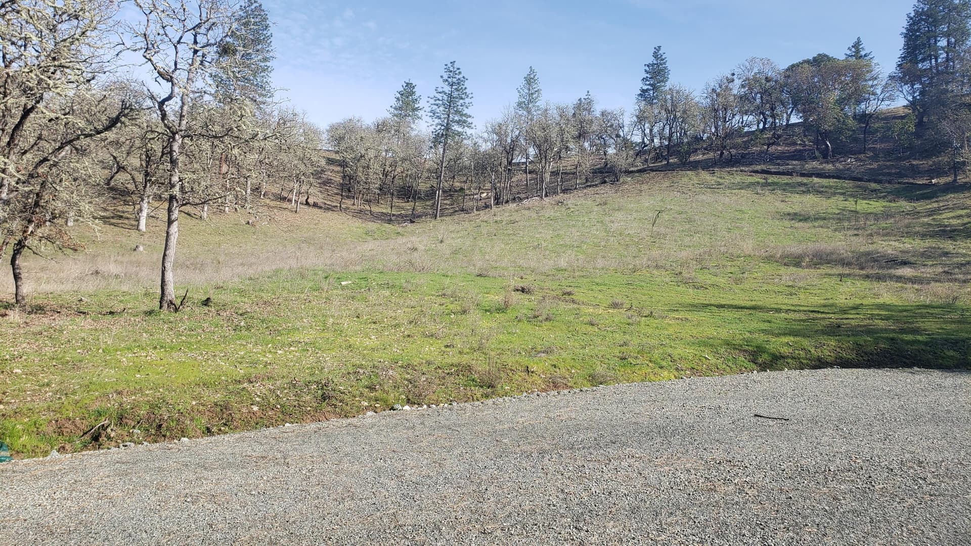 20260306_144849. Photo 2 of 11, Messinger Road Unit 300, Grants Pass, OR 97527