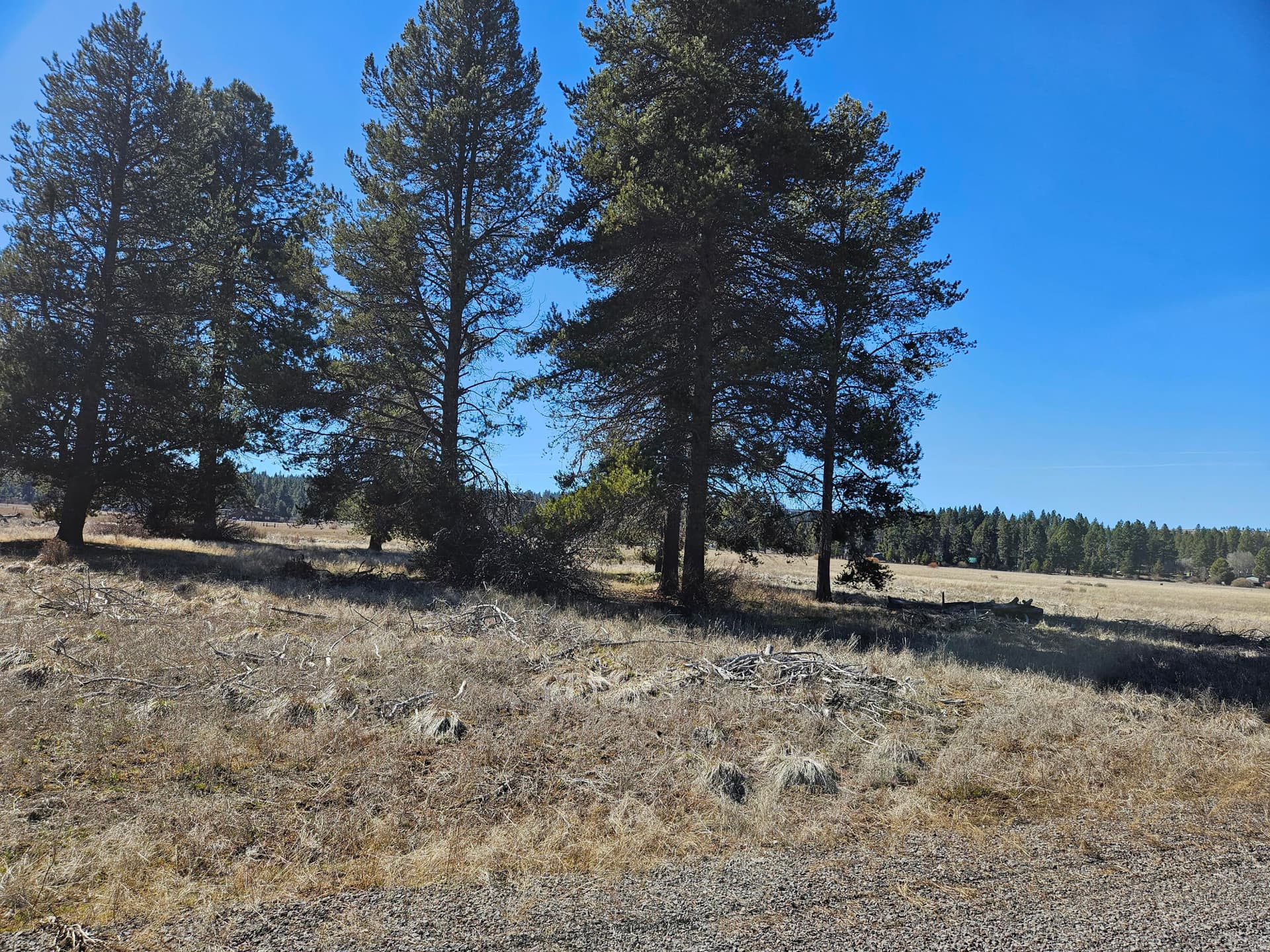 Land. Photo 1 of 4, 0 Longhorn Loop Unit 25, Chiloquin, OR 97624