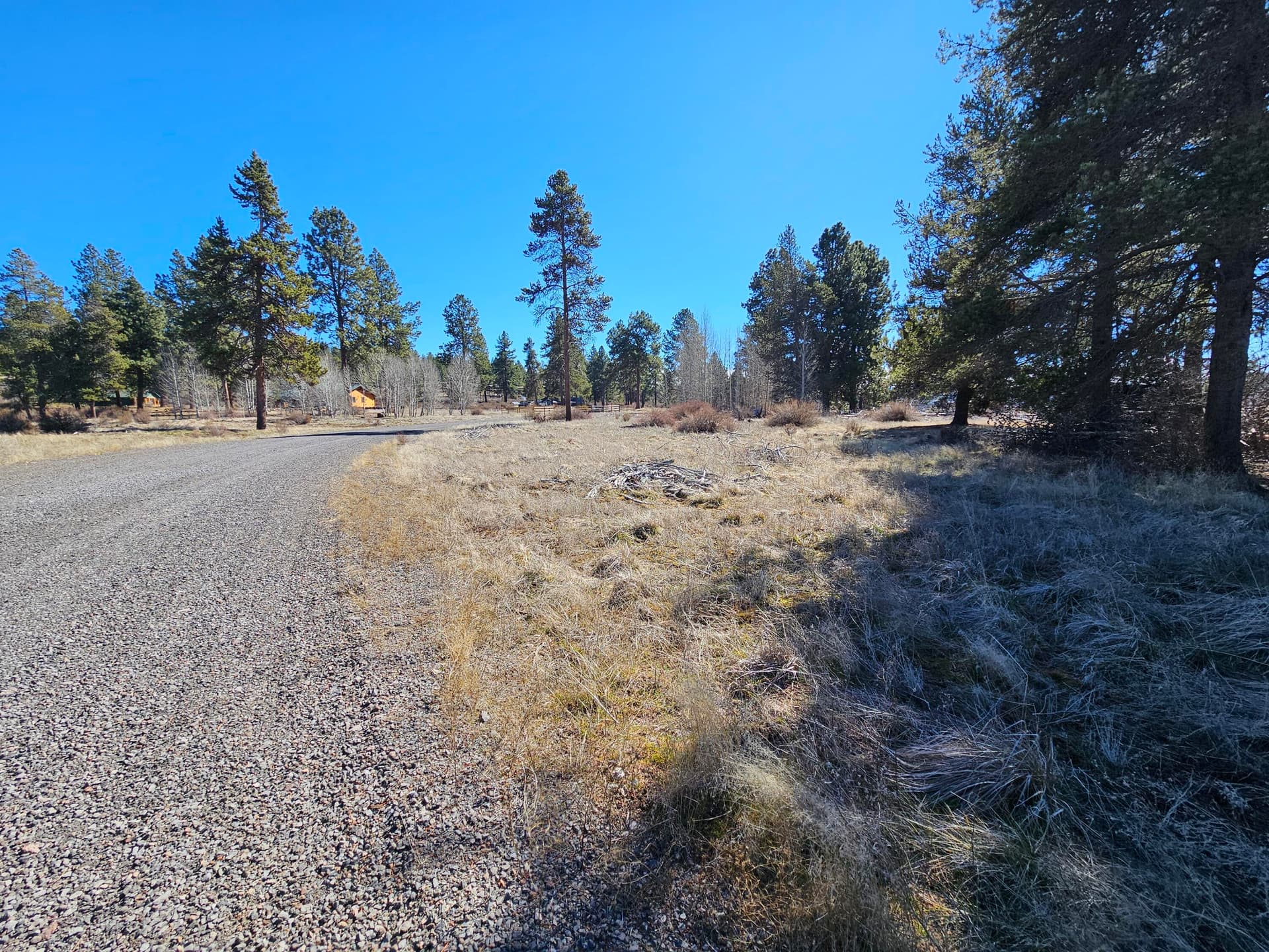 20260307_122151. Photo 4 of 4, 0 Longhorn Loop Unit 25, Chiloquin, OR 97624