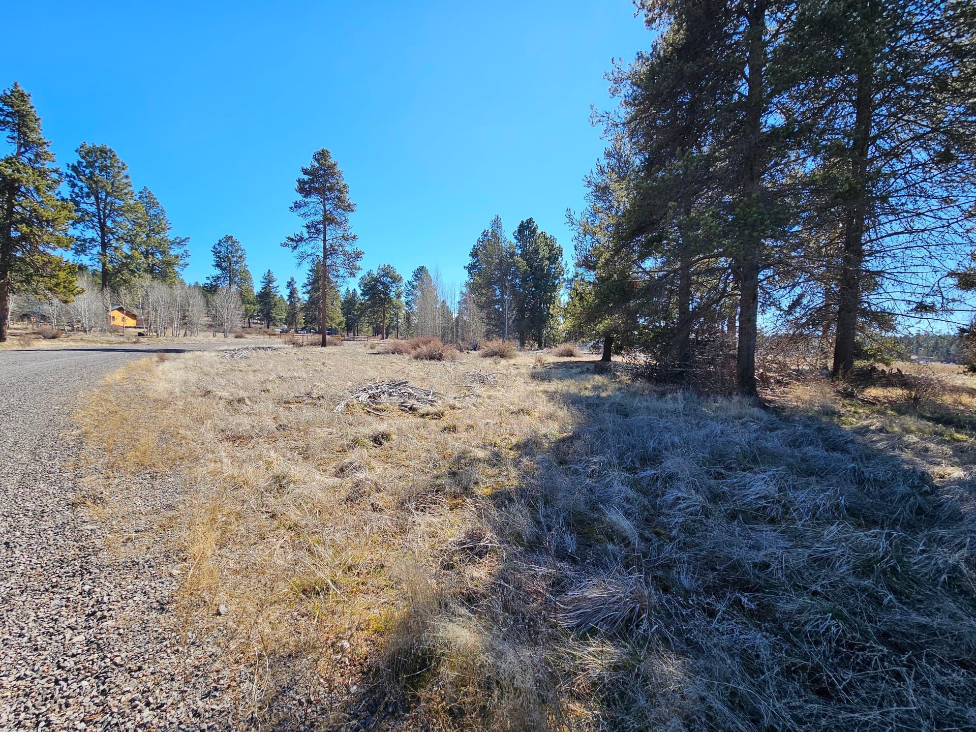 20260307_122149. Photo 3 of 4, 0 Longhorn Loop Unit 25, Chiloquin, OR 97624