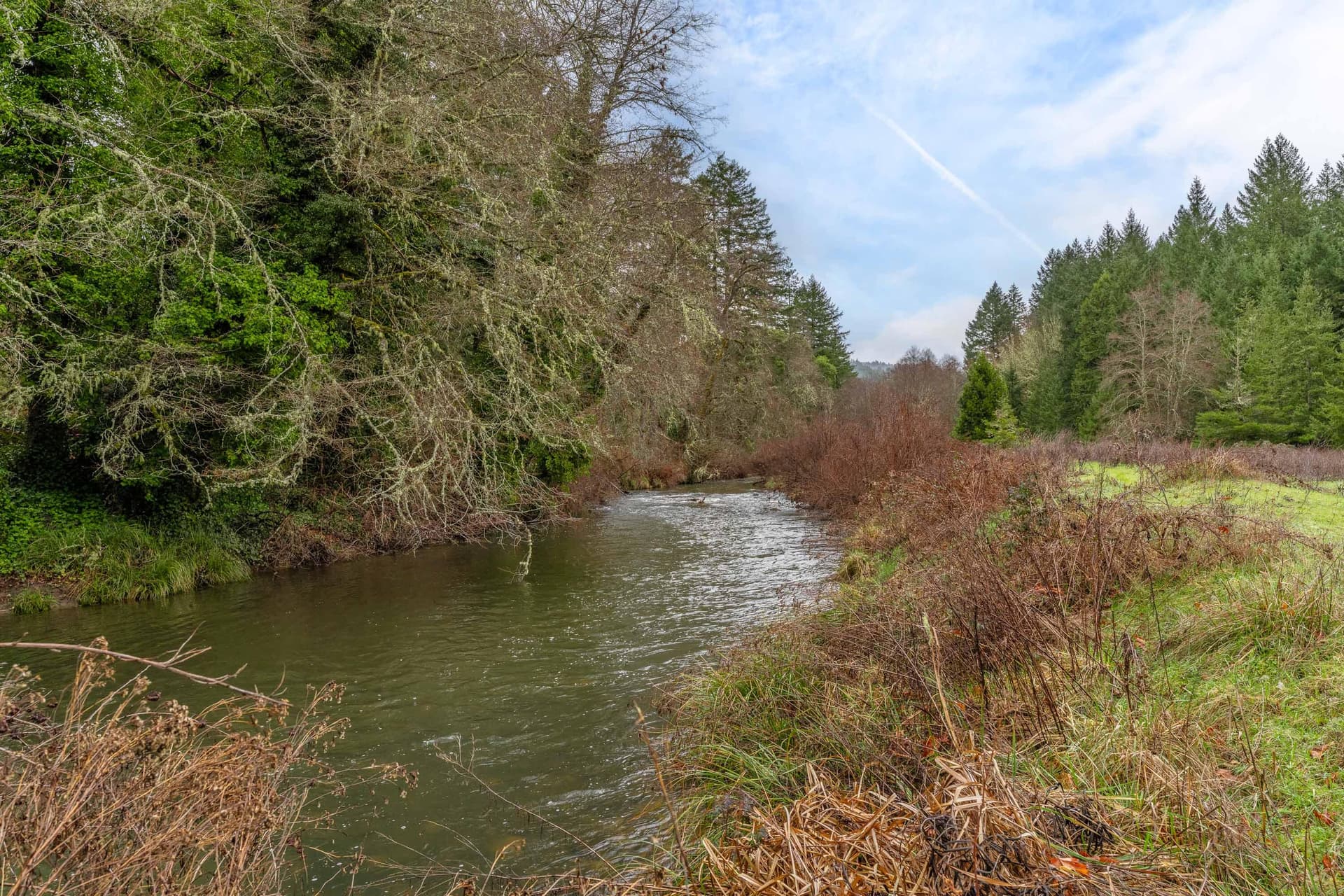 EXT2 (6 of 19). Photo 1 of 28, 0 Upper Cow Creek Road, Azalea, OR 97410