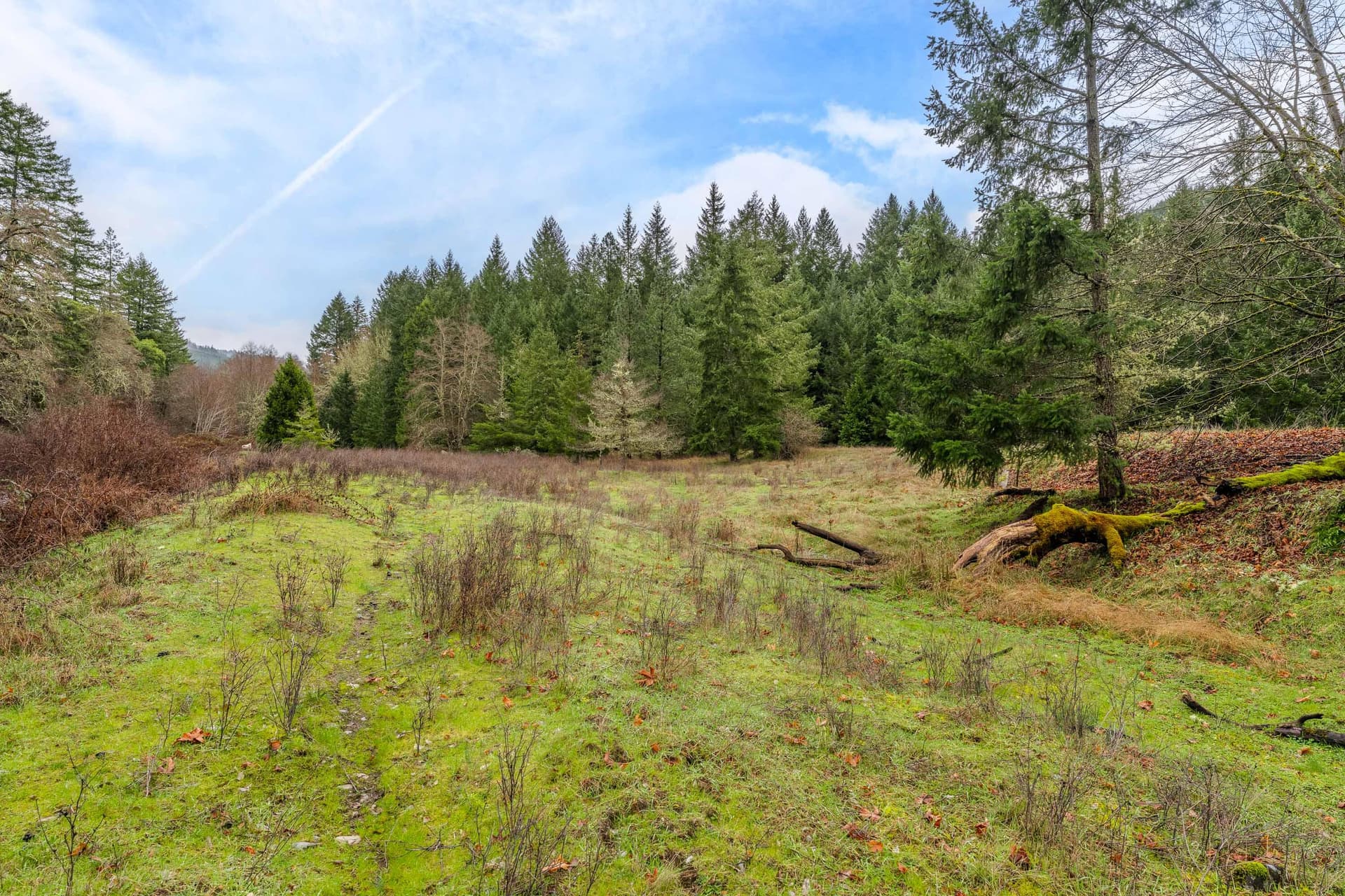 EXT2 (7 of 19). Photo 4 of 28, 0 Upper Cow Creek Road, Azalea, OR 97410