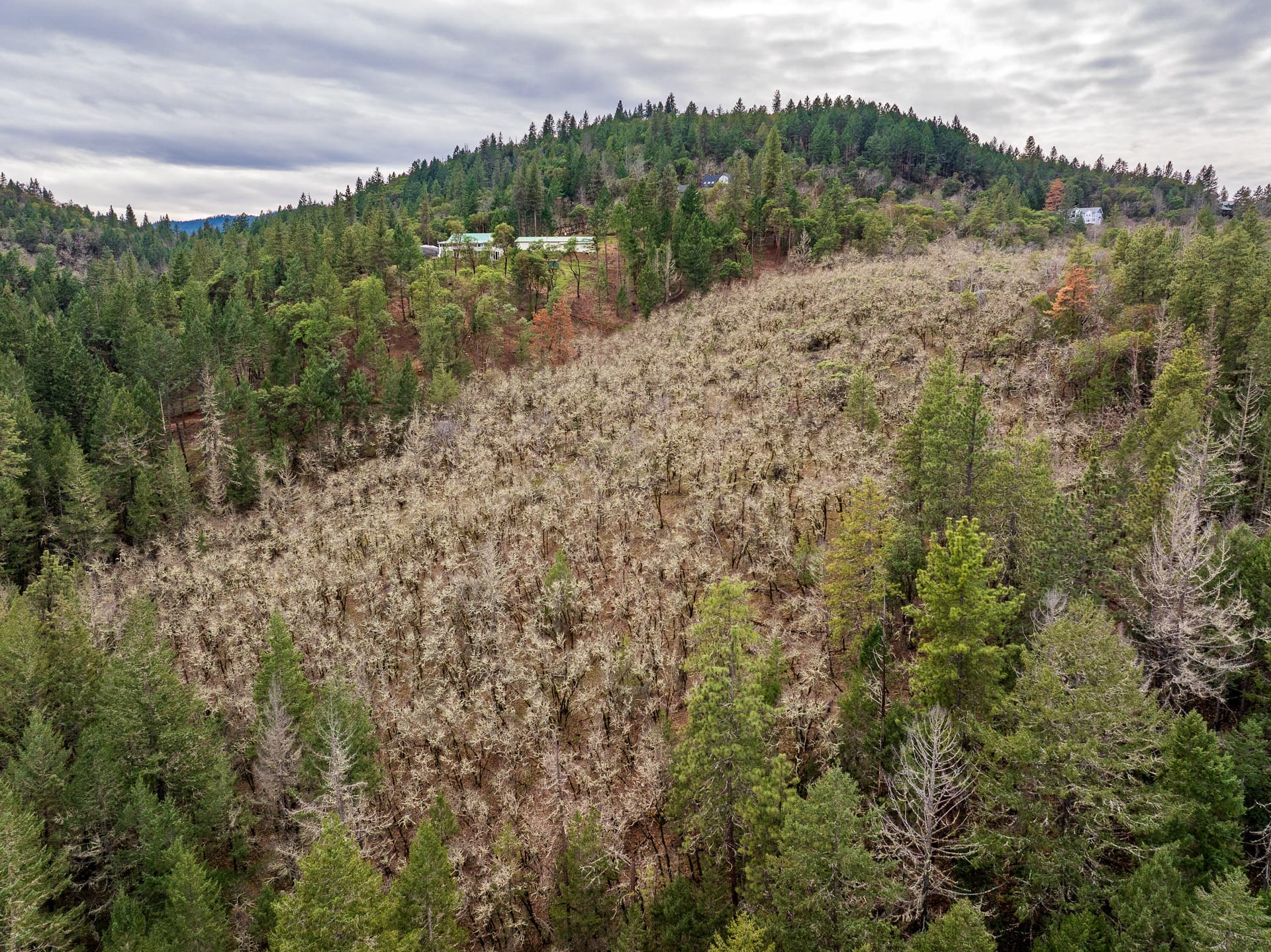 DaisyCreek-005. Photo 5 of 16, 0 Sterling Creek Road, Jacksonville, OR 97530