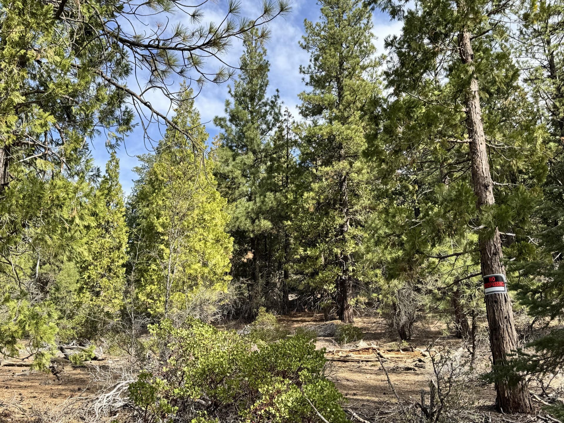 road view. Photo 1 of 1, 0 Whale Lane, Bonanza, OR 97623