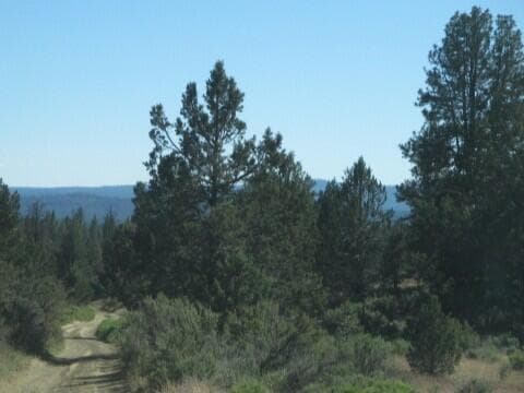 IMG_0224 copy. Photo 5 of 6, 0 Little Fawn Drive Unit 10, Chiloquin, OR 97624