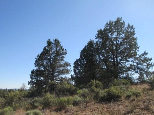 IMG_0225 copy. Photo 3 of 6, 0 Little Fawn Drive Unit 10, Chiloquin, OR 97624