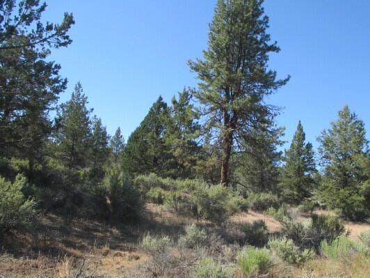 IMG_0226 copy. Photo 1 of 6, 0 Little Fawn Drive Unit 10, Chiloquin, OR 97624