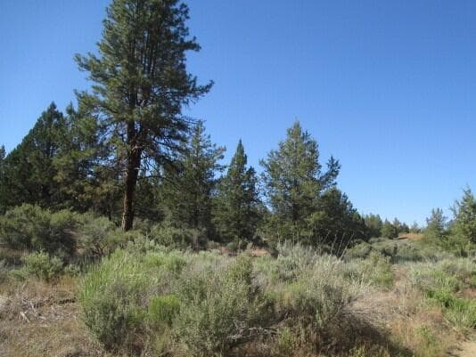IMG_0227 copy. Photo 2 of 6, 0 Little Fawn Drive Unit 10, Chiloquin, OR 97624