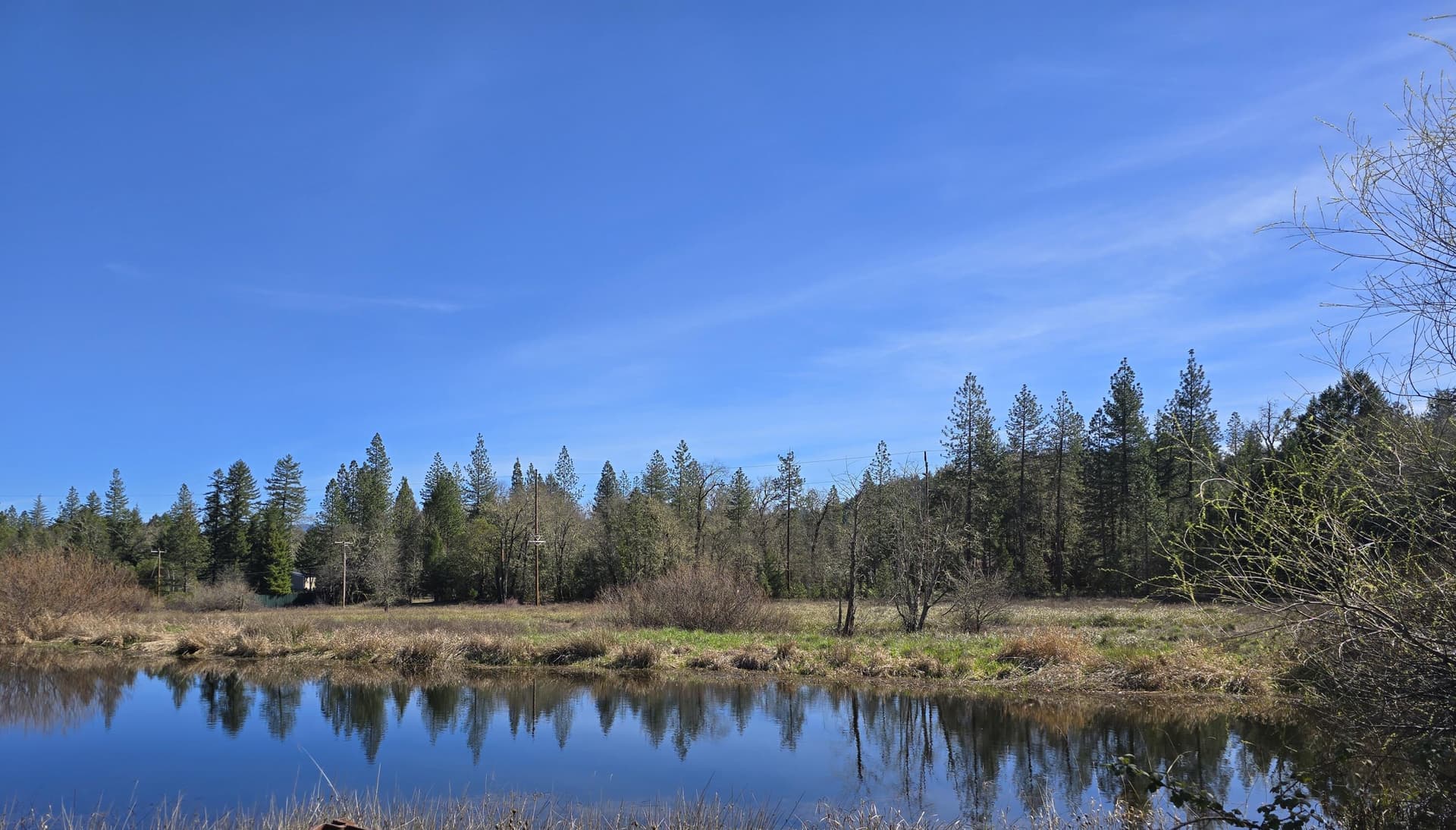 147 7. Photo 2 of 18, 147 Warren Road, Selma, OR 97538