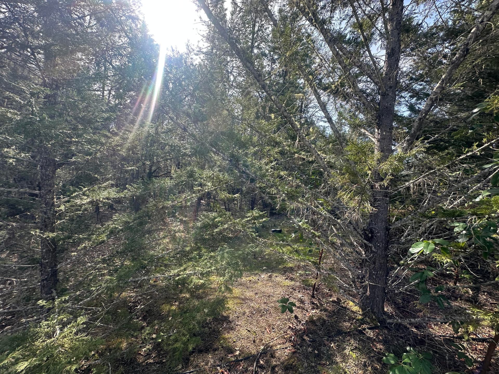 IMG_6779. Photo 3 of 3, 235 Eagle Ridge Drive, Grants Pass, OR 97526