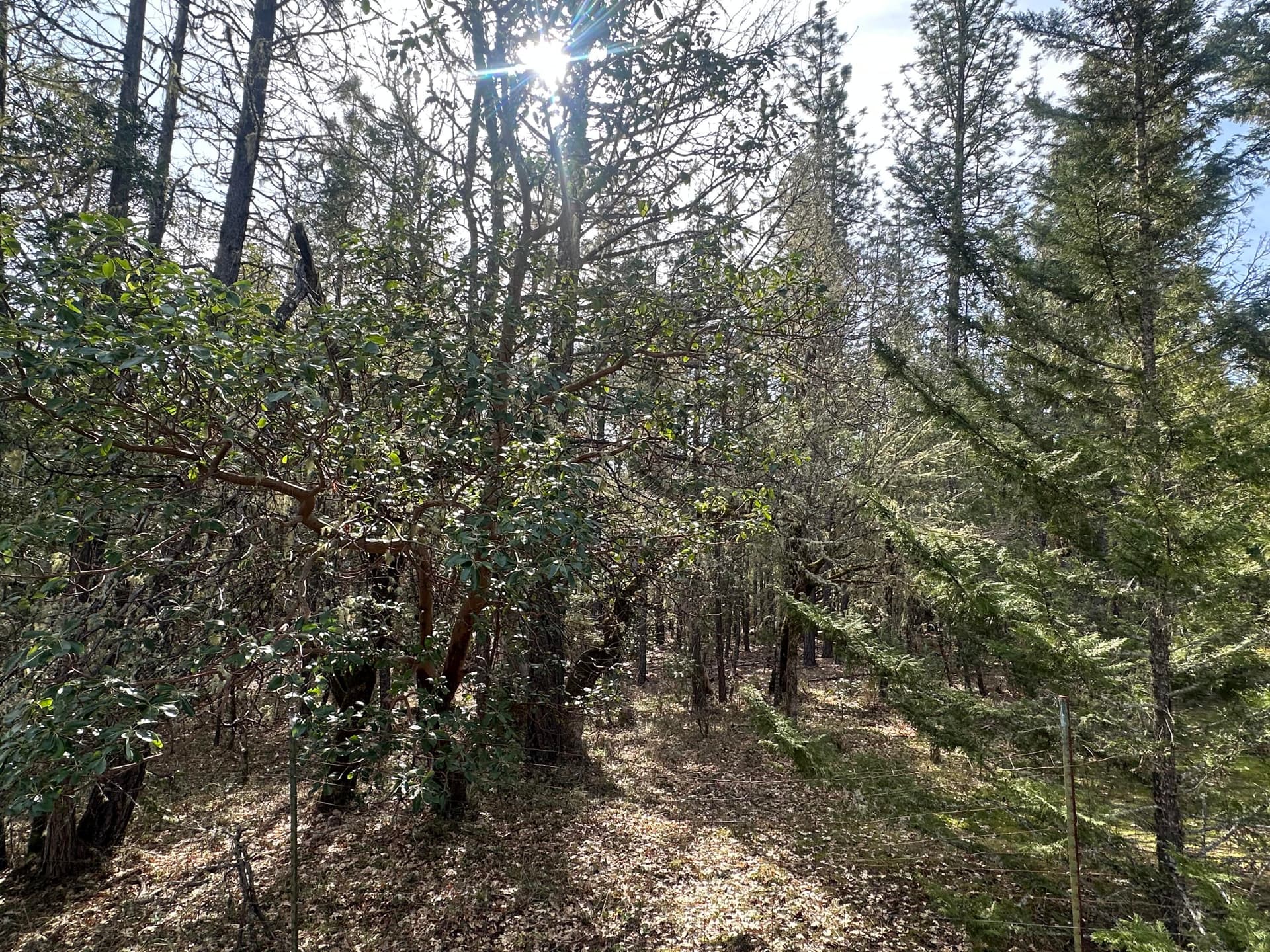 IMG_6777. Photo 2 of 3, 235 Eagle Ridge Drive, Grants Pass, OR 97526