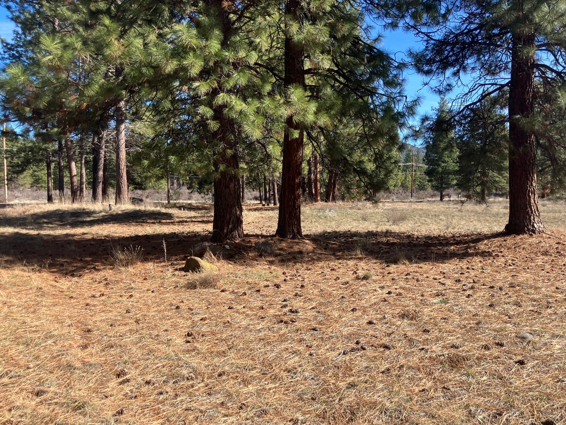 main photo. Photo 1 of 15, 0 Winema Peninsula, Chiloquin, OR 97624