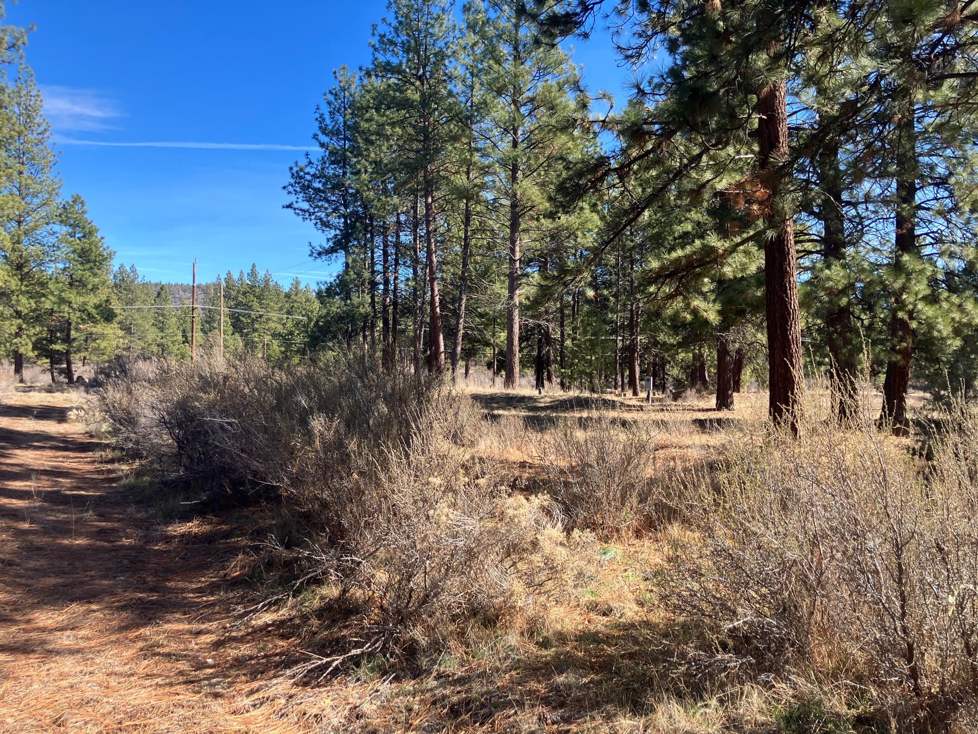 listing photo. Photo 2 of 15, 0 Winema Peninsula, Chiloquin, OR 97624