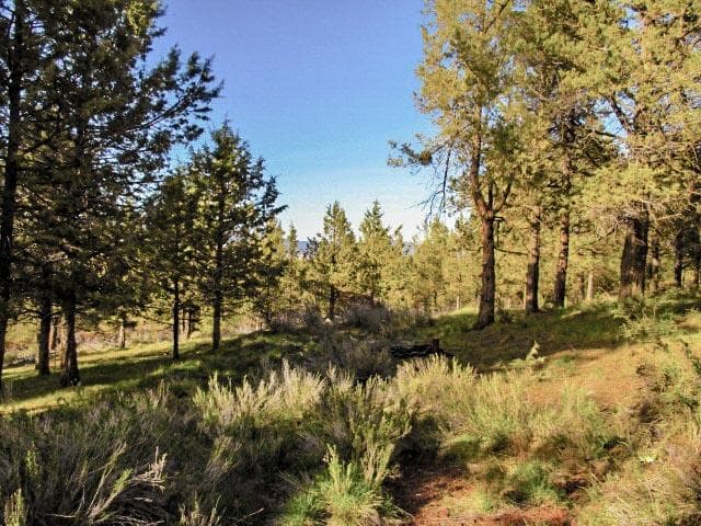 220198014_Pearson Butte. Photo 1 of 9, 0 Pearson Butte Trail Unit 16, Keno, OR 97627