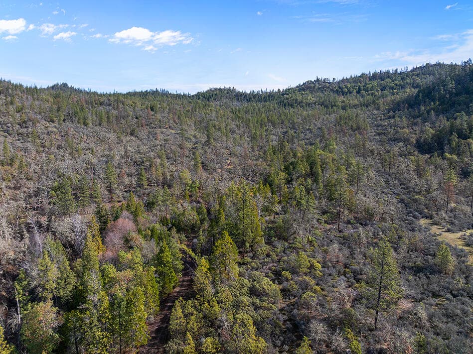 DJI_20260308105145_0142_D. Photo 1 of 43, Indian Creek Road, Shady Cove, OR 97539