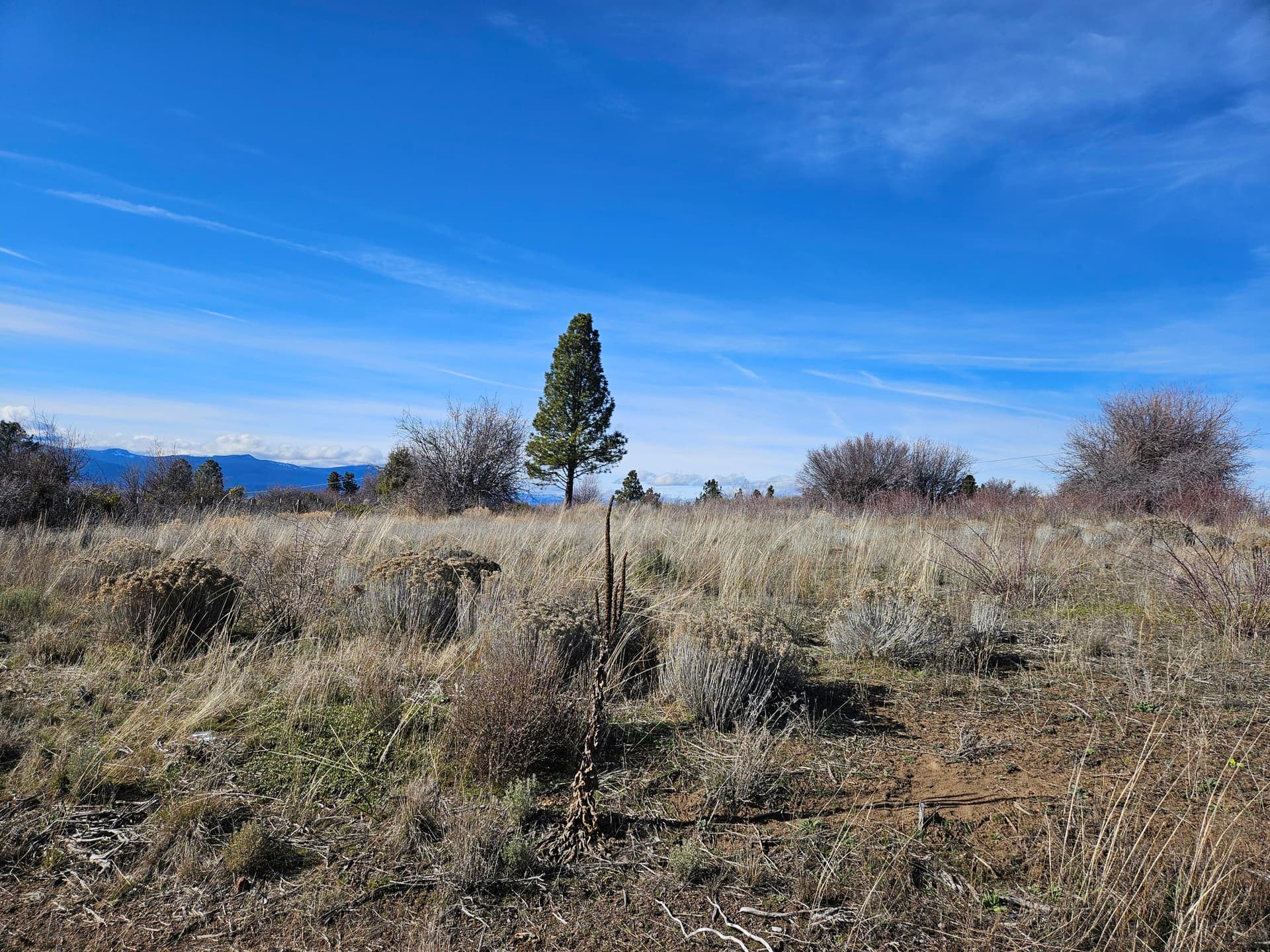 20260312_161636. Photo 1 of 10, 0 Lakeland Road Unit 27, Chiloquin, OR 97624