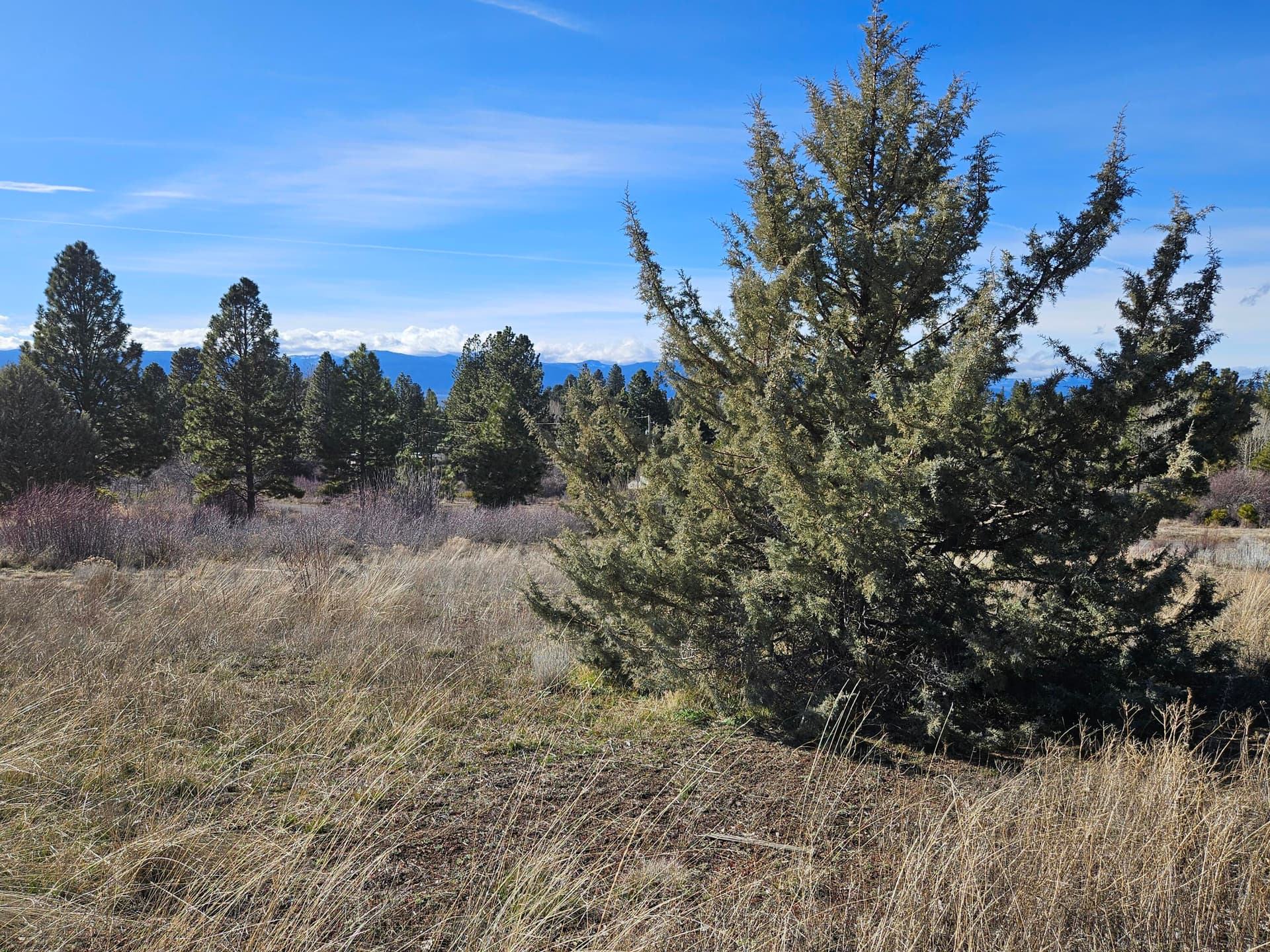 20260312_162914. Photo 4 of 10, 0 Shoreview Drive Unit 21, Chiloquin, OR 97624
