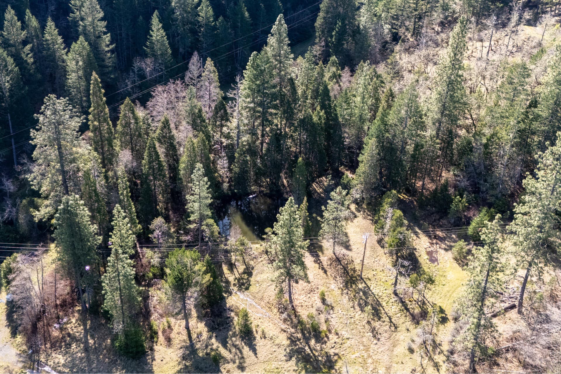 Warren. Photo 1 of 1, Warren TL:1202 Road, Selma, OR 97538