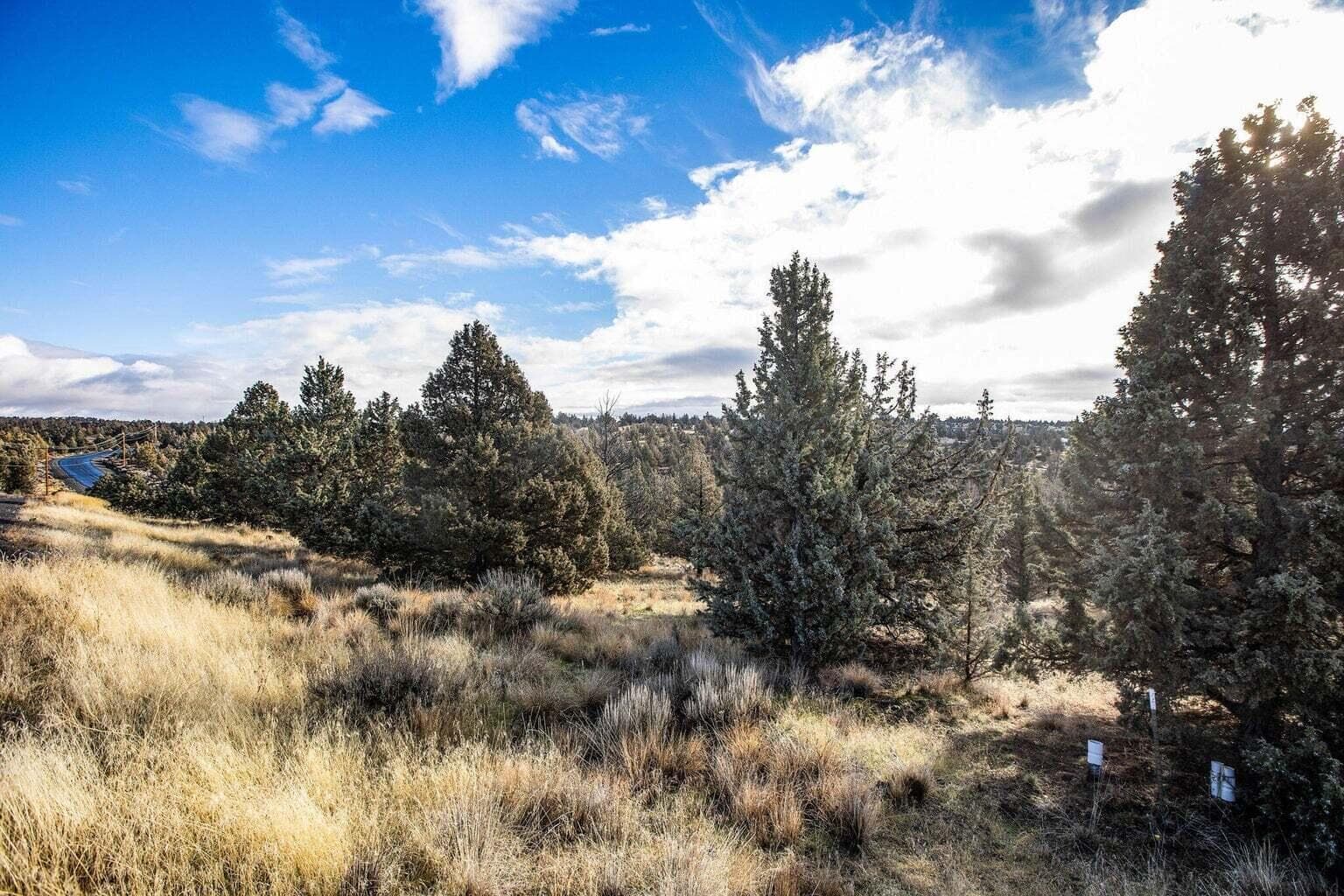 20250605191129036122000000-o. Photo 4 of 11, 2298 SE Texas Circle Unit 49, Prineville, OR 97754