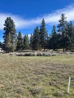 Lot. Photo 1 of 6, 0 Redstart Unit Lot 912, Klamath Falls, OR 97601