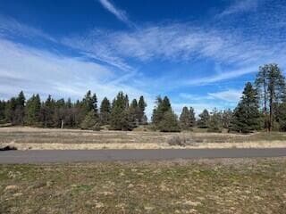 Lot 912 - Across the street. Photo 2 of 6, 0 Redstart Unit Lot 912, Klamath Falls, OR 97601